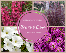 Load image into Gallery viewer, Berries &amp; Cream Summer Planter