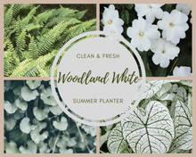 Load image into Gallery viewer, Woodland White Summer Planter