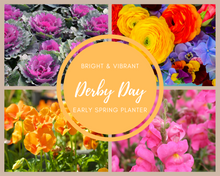 Load image into Gallery viewer, Derby Day Early Spring Planter