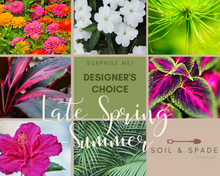 Load image into Gallery viewer, Designer's Choice Late Spring/Summer Planter