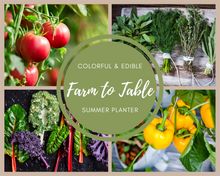 Load image into Gallery viewer, Farm to Table Summer Planter
