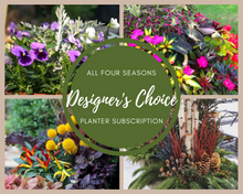 Load image into Gallery viewer, Designer's Choice Four Season Subscription
