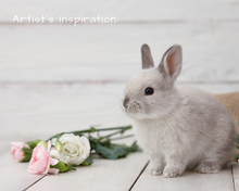 Load image into Gallery viewer, Fuzzy Bunny Early Spring Planter