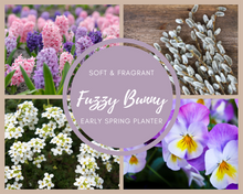 Load image into Gallery viewer, Fuzzy Bunny Early Spring Planter