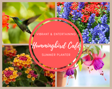 Load image into Gallery viewer, Hummingbird Café Summer Planter