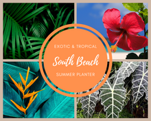 Load image into Gallery viewer, South Beach Summer Planter