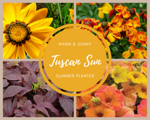 Load image into Gallery viewer, Tuscan Sun Summer Planter