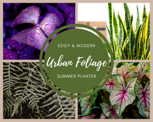 Load image into Gallery viewer, Urban Foliage Summer Planter