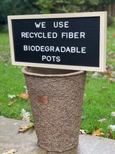 Load image into Gallery viewer, Urban Foliage Summer Planter