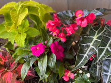 Load image into Gallery viewer, South Beach Summer Planter
